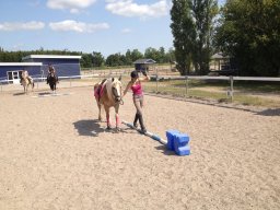 img_2221_web